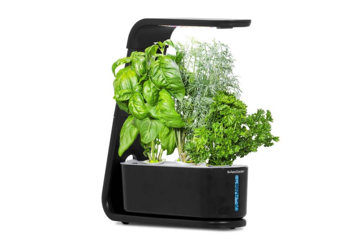 A sleek indoor hydroponic garden with a black base and built-in LED grow light. The garden features thriving green plants, including basil, parsley, and dill.