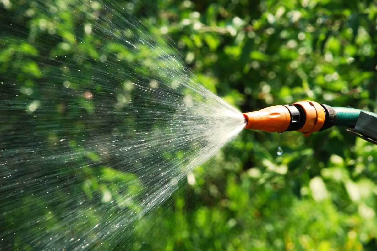 A garden hose with an orange and black nozzle sprays water densely in a fan shape, creating a mist. 