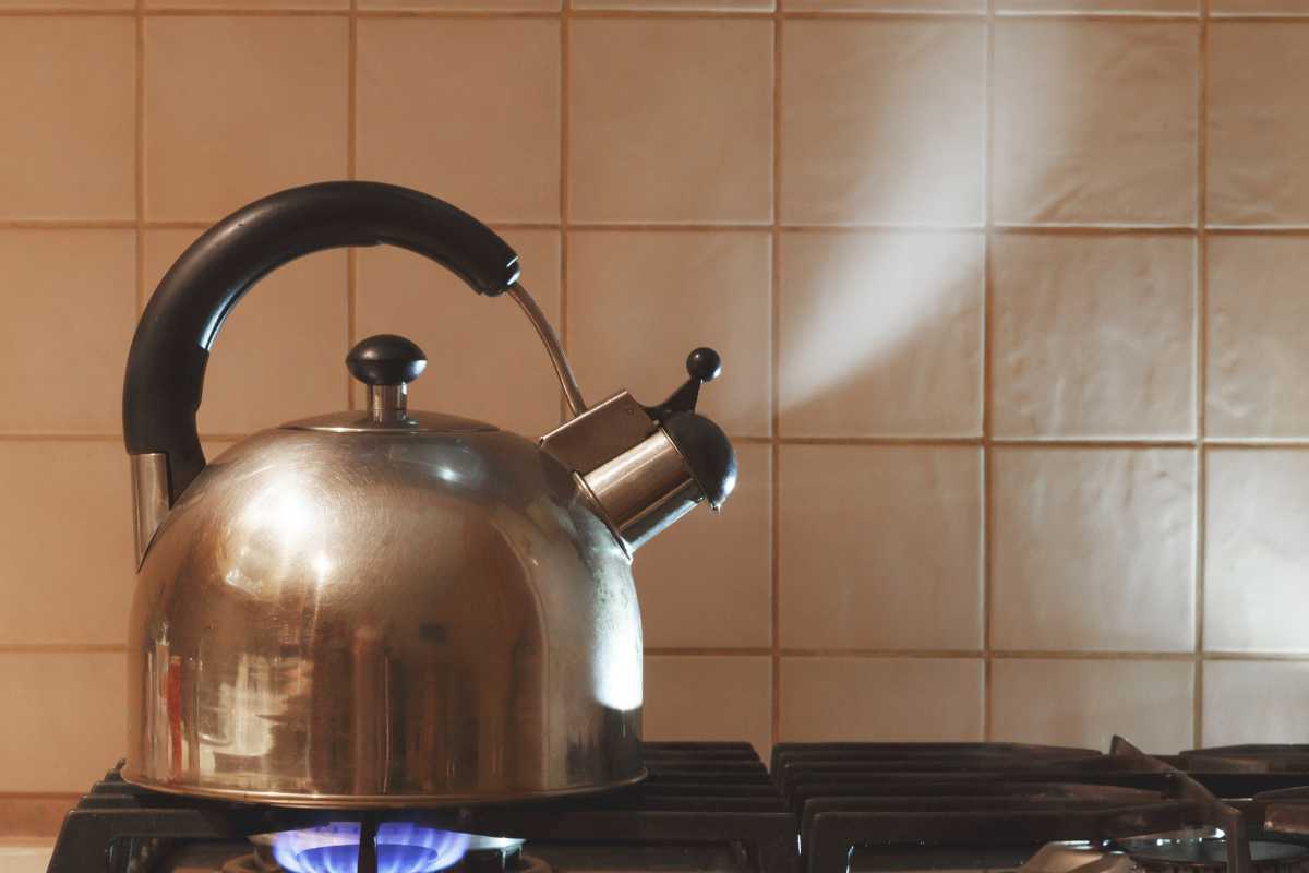 A stainless steel tea kettle with a black handle sits on a lit gas stove burner.