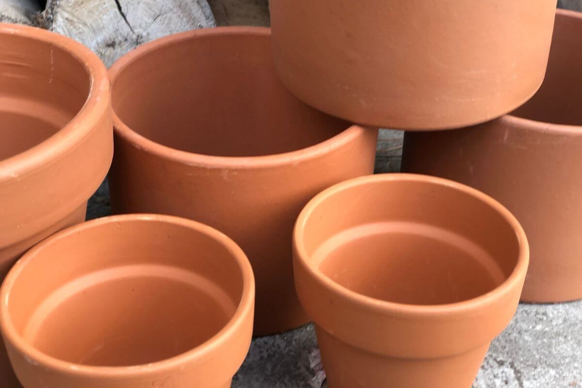 A collection of empty terracotta pots of varying sizes is arranged on a surface. 