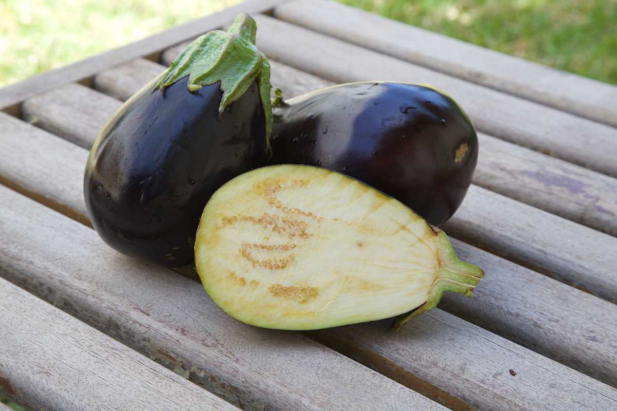 Three eggplants are displayed on a wooden surface outdoors. Two whole eggplants with dark purple skin and green tops are placed next to one half-cut eggplant.