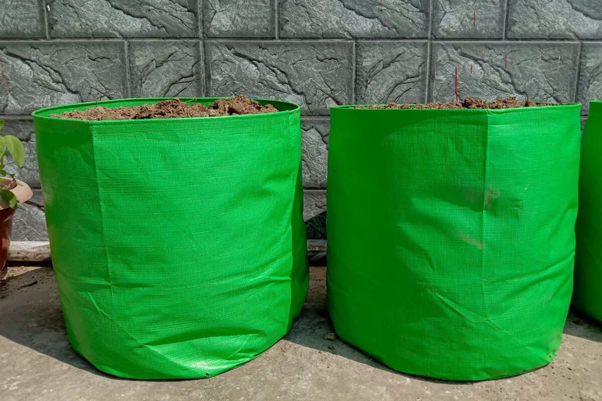 Two bright green fabric grow bags filled with soil are placed on a concrete floor against a textured gray stone wall.