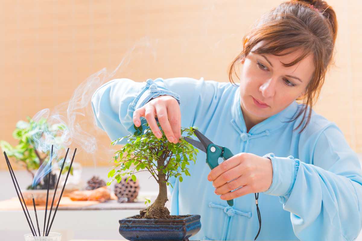 A woman dressed in a light blue outfit is carefully trimming a small bonsai tree with pruning shears, preventing its leaves from falling off.