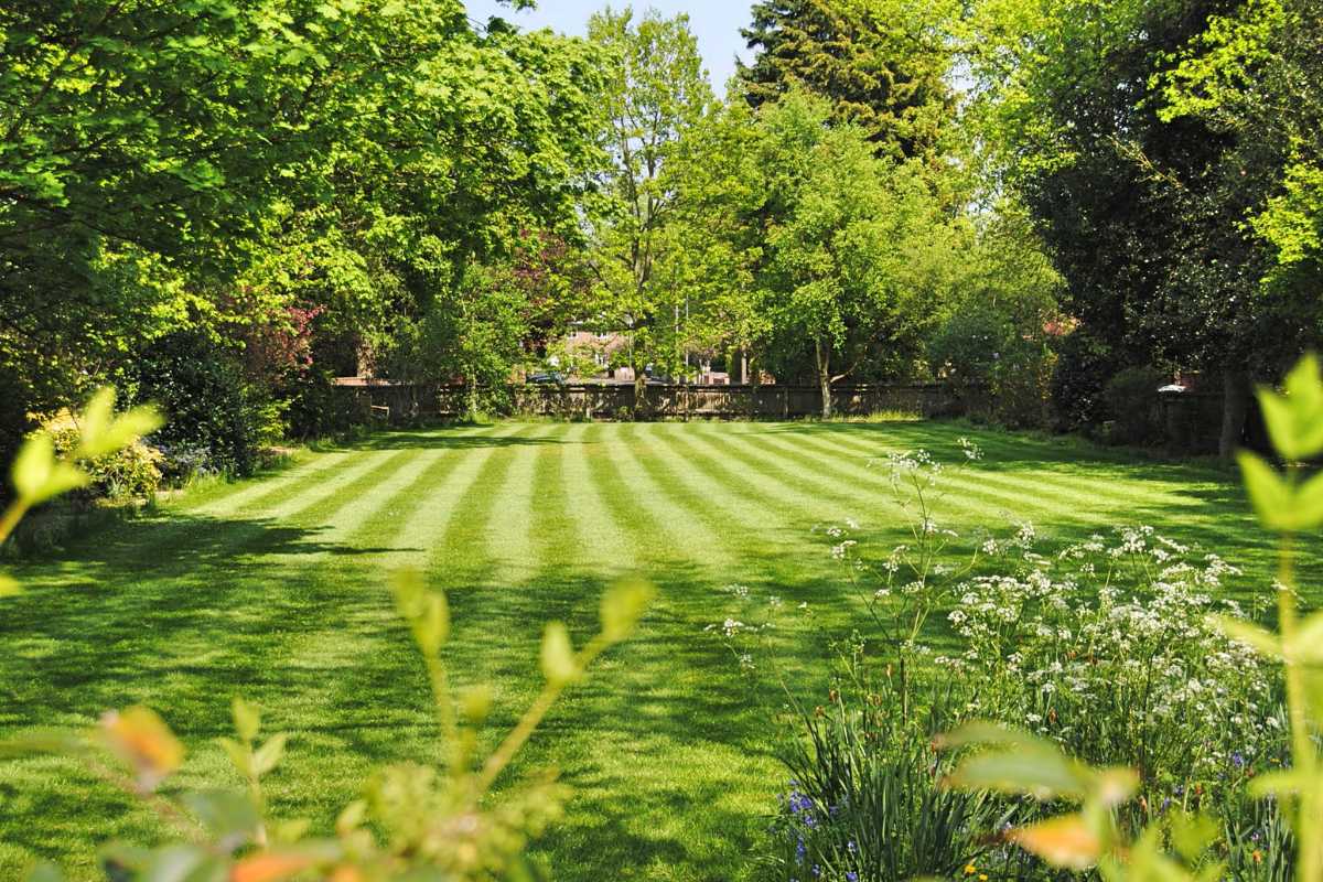 A well-maintained lawn with evenly spaced stripes, surrounded by lush, green trees and shrubs. 