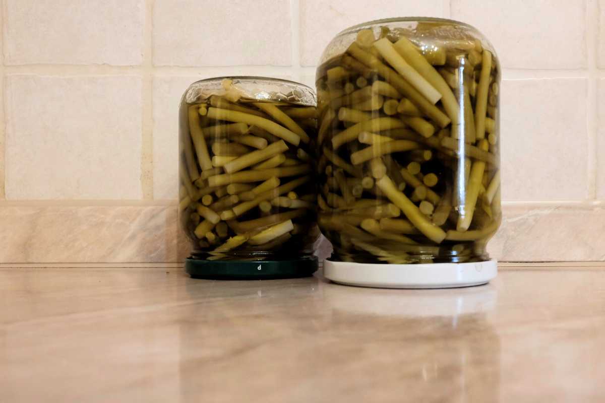 Two sealed glass jars full celery stems sit on a marble countertop in front of a tiled wall. 