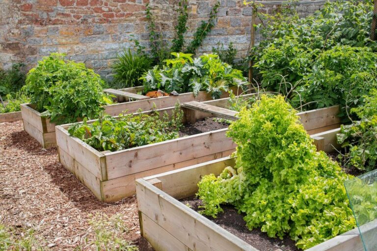 How to Start a Vegetable Garden for Beginners - Smart Garden and Home