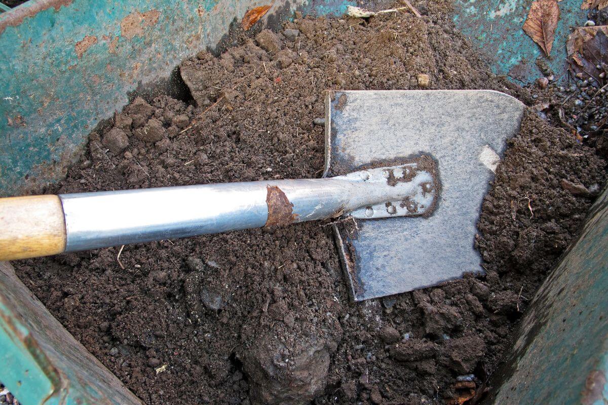 A metal spade with a wooden handle, one of the essential gardening tools, is resting in a pile of dark soil.