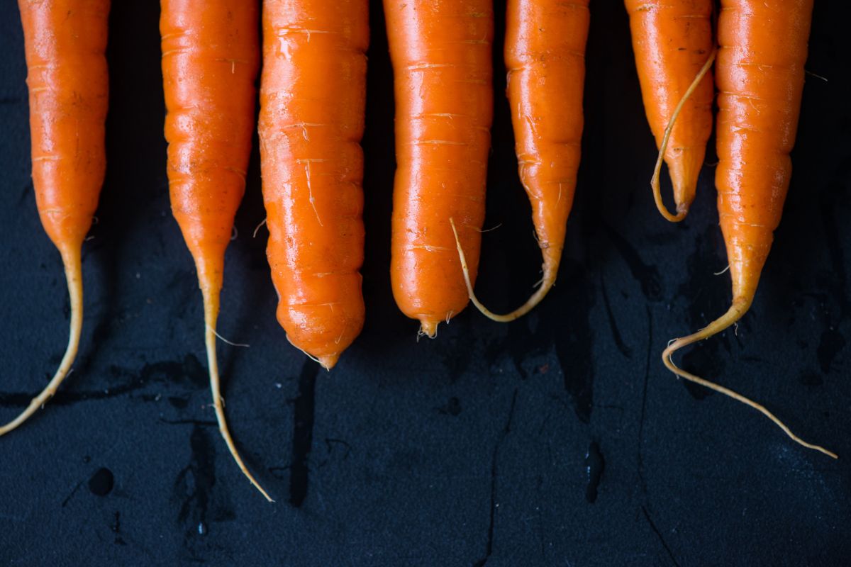 Six fresh, bright orange hydroponic carrots are neatly lined up side-by-side on a dark surface.