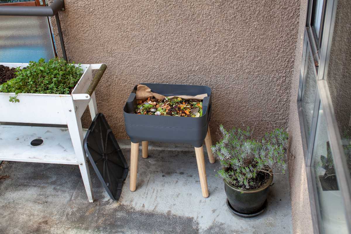 A small compost worm bin with wooden legs, filled with organic waste and worms is placed on a concrete patio next to a potted lavender plant. 