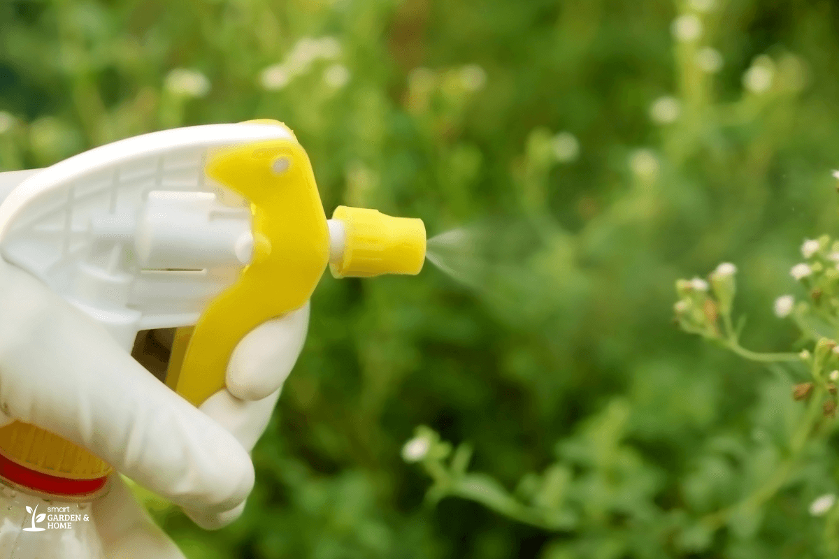 A hand wearing a white glove and spraying plants with a yellow and white spray bottle for pest control. The spray is directed at small plants or flowers.