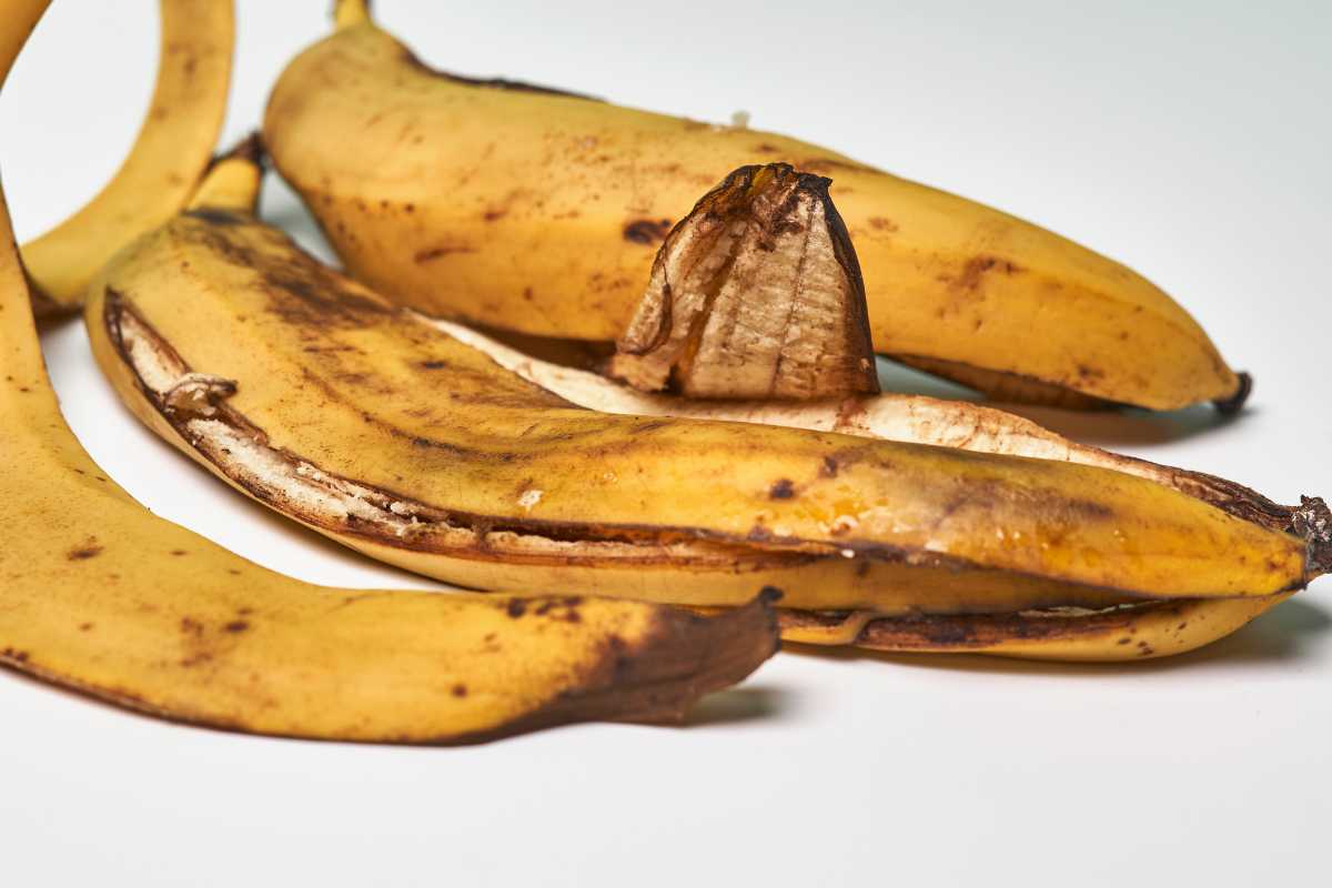 Banana peels lying on a white surface. The banana peels have brown spots and dark marks on their skins.