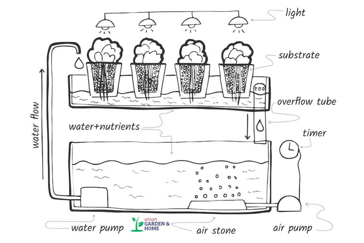 A diagram depicts a hydroponic system with 4 plants in pots filled with substrate, explaining what is hydroponics.