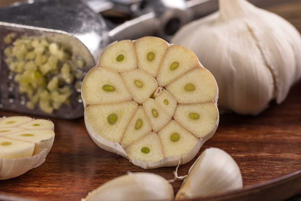 A halved garlic bulb showing the intricate pattern of cloves. In the background, there is a garlic press filled with crushed garlic. 