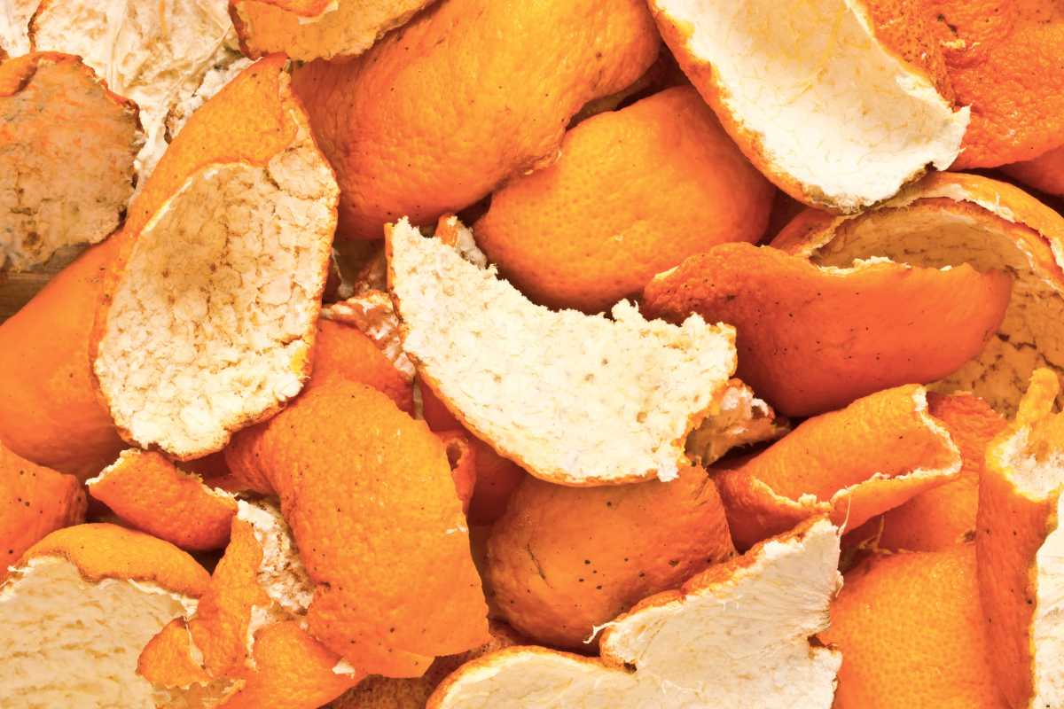 Numerous orange peels. Some peels are fully intact, while others are broken into smaller pieces. 