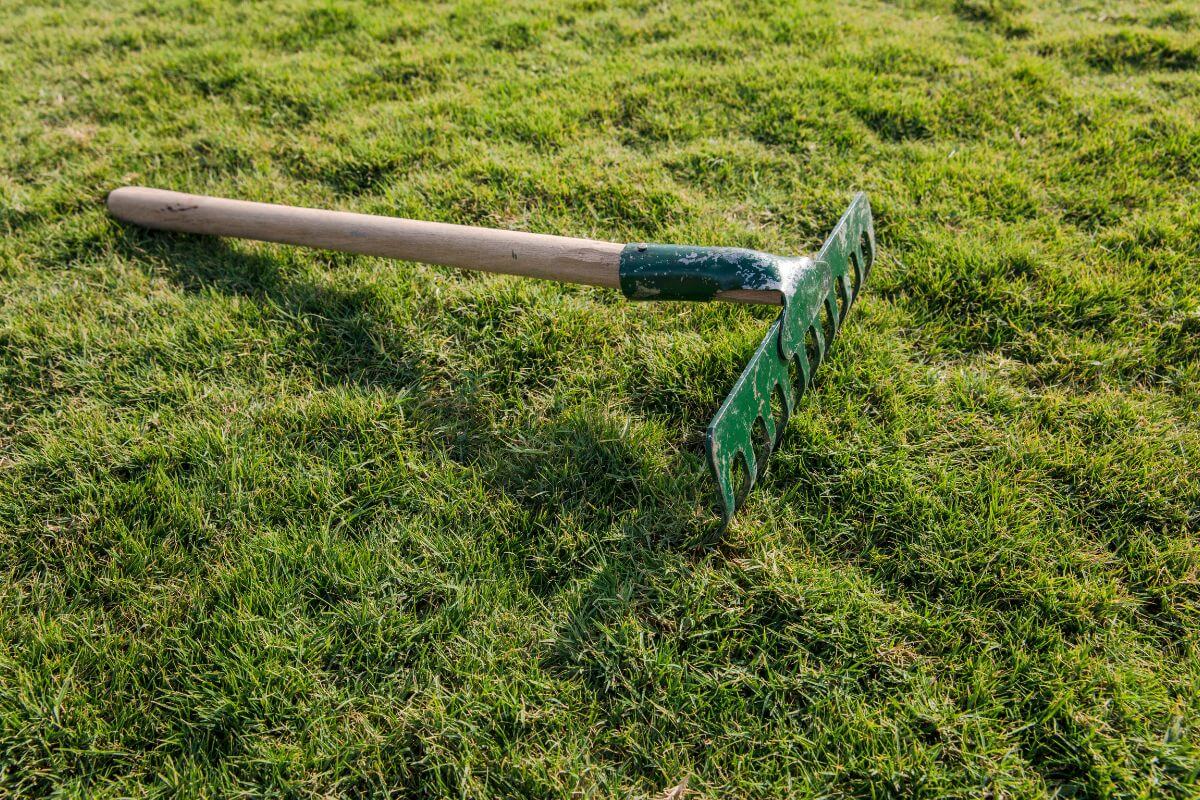 A green metal rake, one of the essential gardening tools, with a wooden handle lies on a lush, green grass lawn.