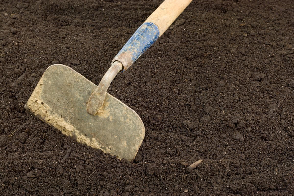 A garden hoe, one of the essential gardening tools, with a wooden handle and a slightly worn metal blade is placed on dark, loose soil. 