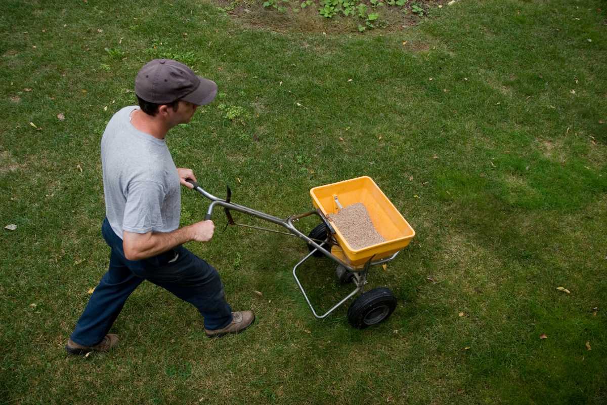 A person in a gray shirt and dark pants is using a manual push spreader to distribute seeds or fertilizers on a grassy lawn. 