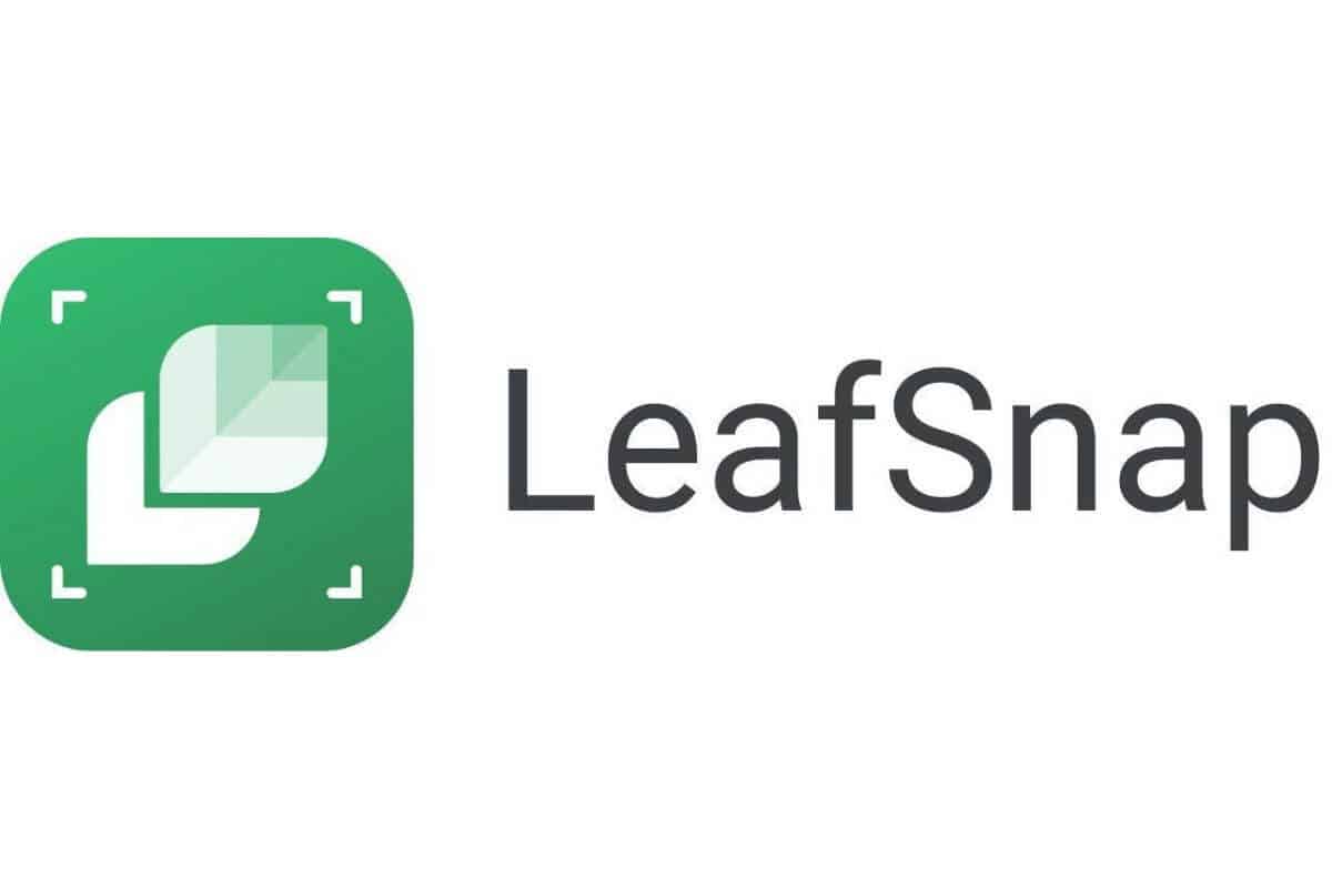 Leafsnap Logo