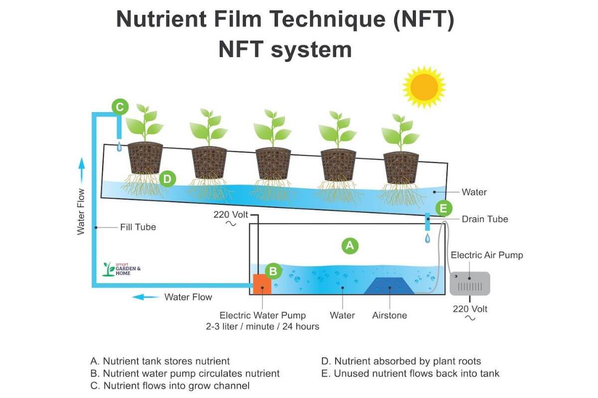 Diagram of a Nutrient Film Technique (NFT) hydroponic system, explaining what is hydroponics.
