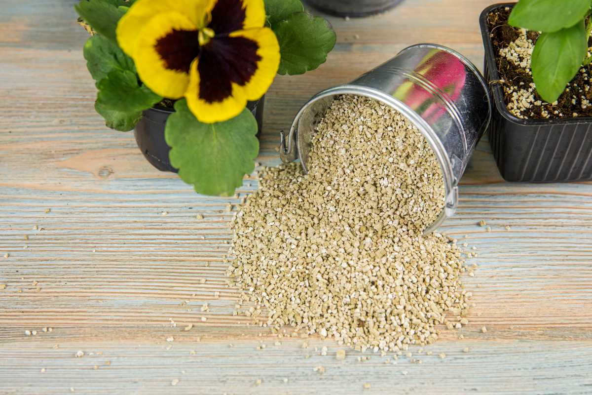 A small metal bucket tipped over, spilling vermiculite onto a wooden surface—a crucial component in how to make potting soil. 