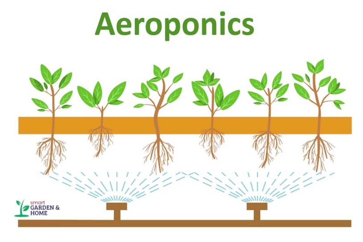 An illustration of an aeroponics system shows plants growing with their roots suspended in air and being misted with water and nutrients, explaining what is hydroponics.