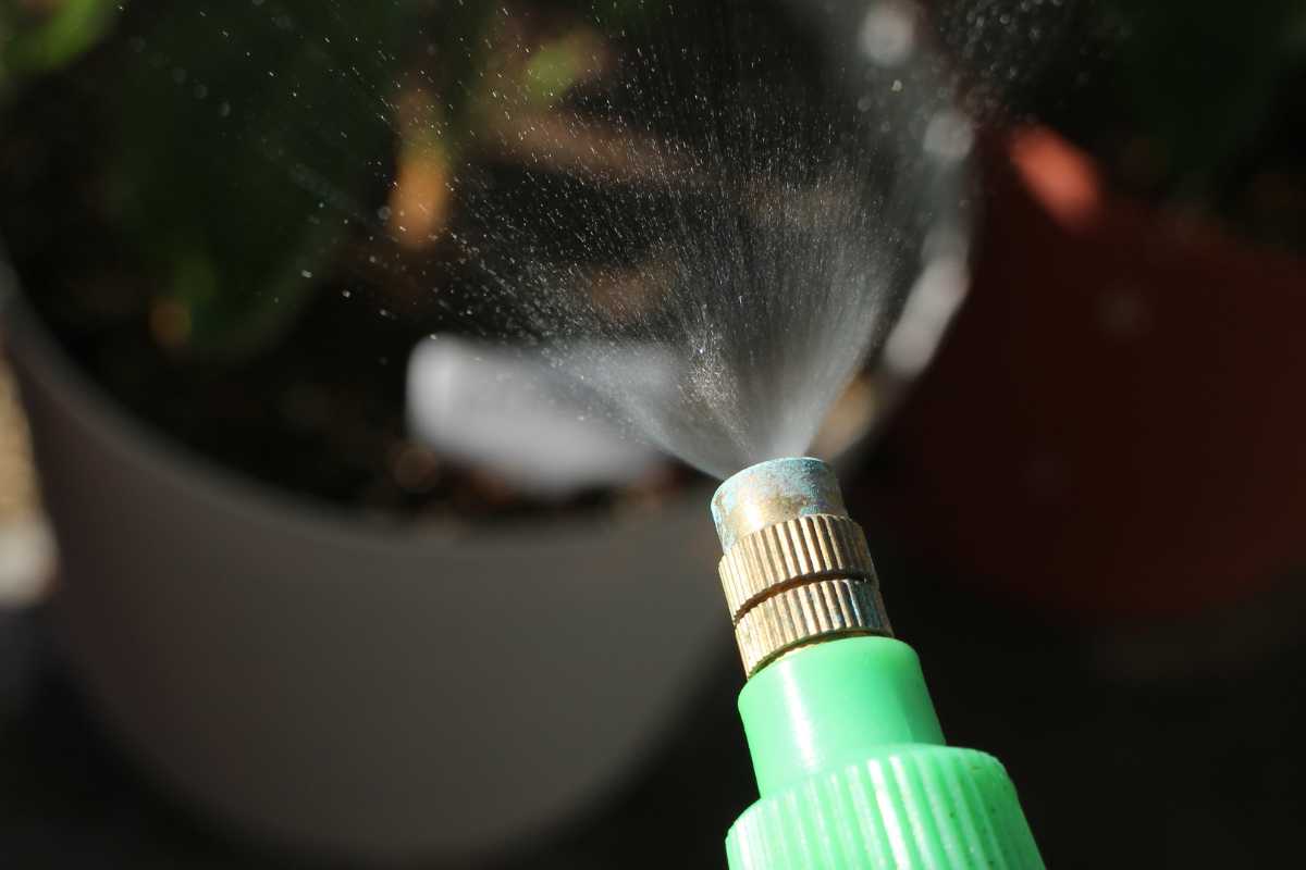 A green spray bottle nozzle emitting a fine mist, with blurred plant pots and ants on strawberry plants in the background.