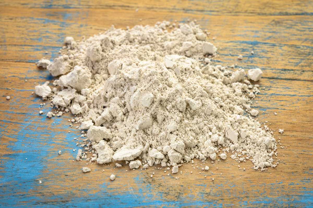 A pile of fine, off-white diatomaceous earth powder.