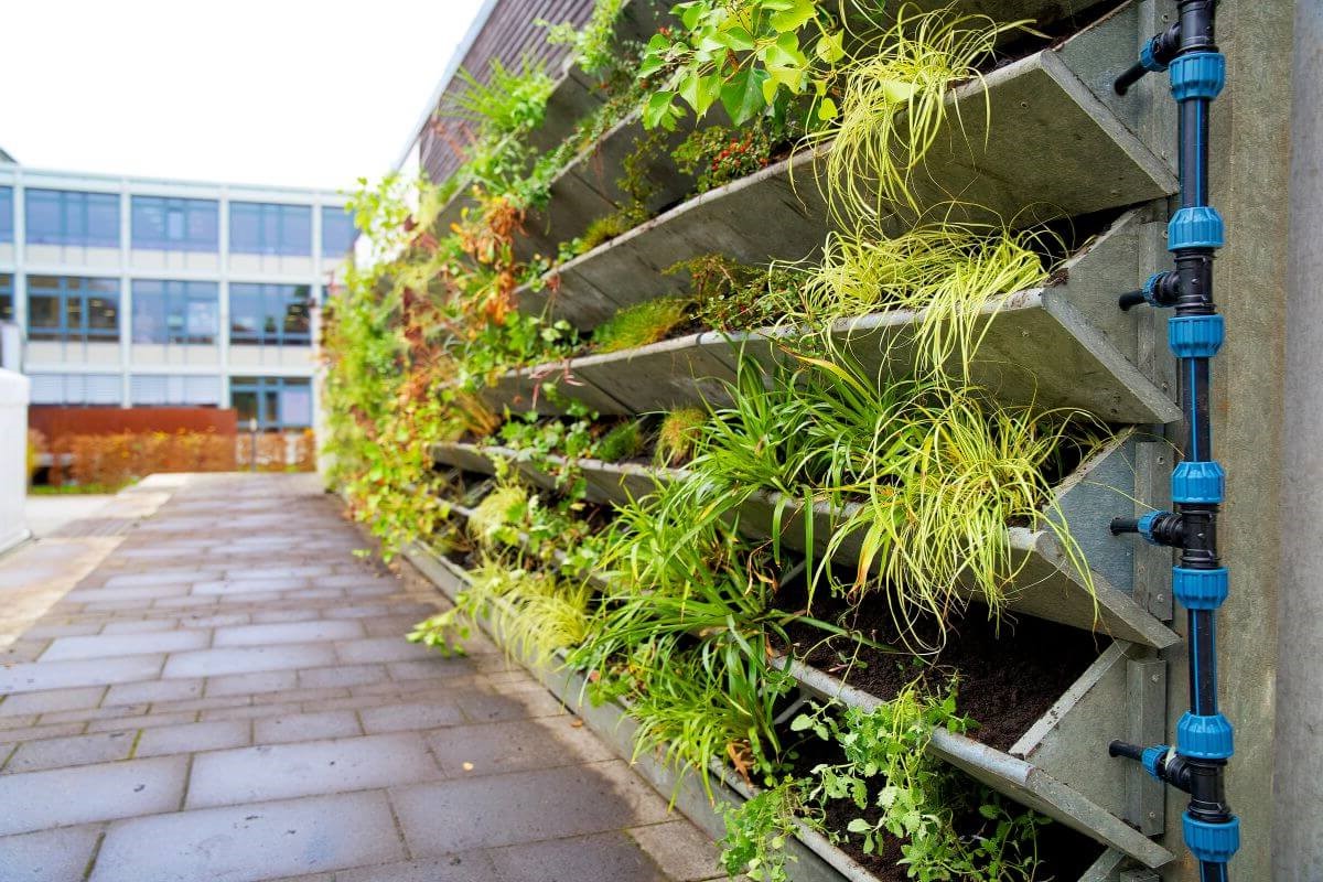 A vertical garden on the side of a building features multiple tiers of green plants thriving on angled concrete slabs.