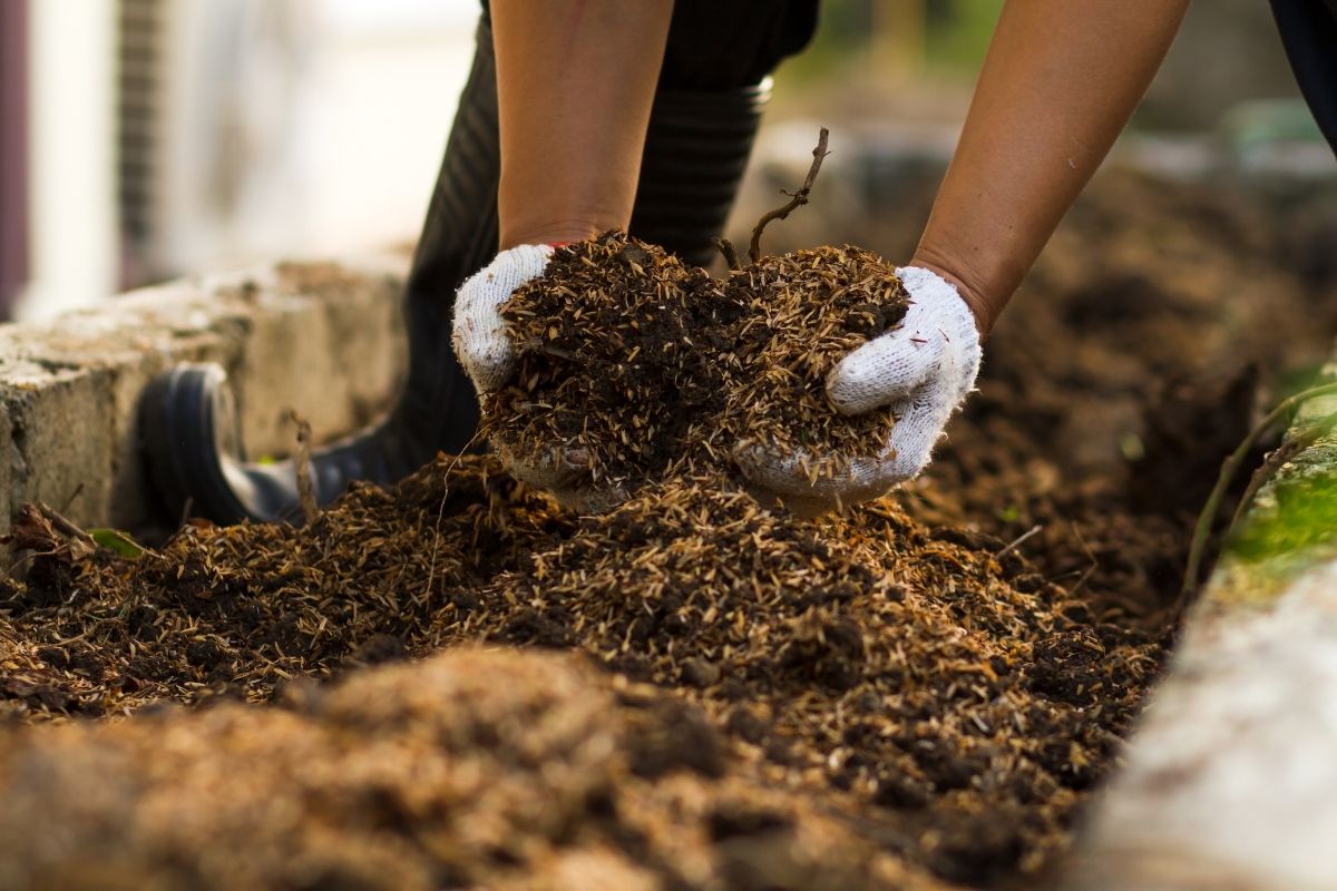 A person wearing white gloves is shown bending down, holding a handful of rich soil in a garden bed, following a guide to soil technique.