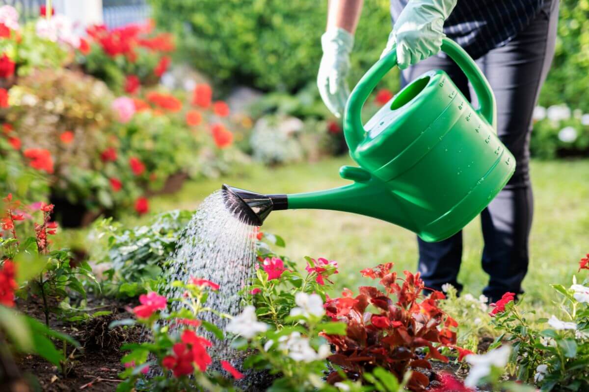 A person wearing gloves waters a garden of colorful flowers with a green watering can.