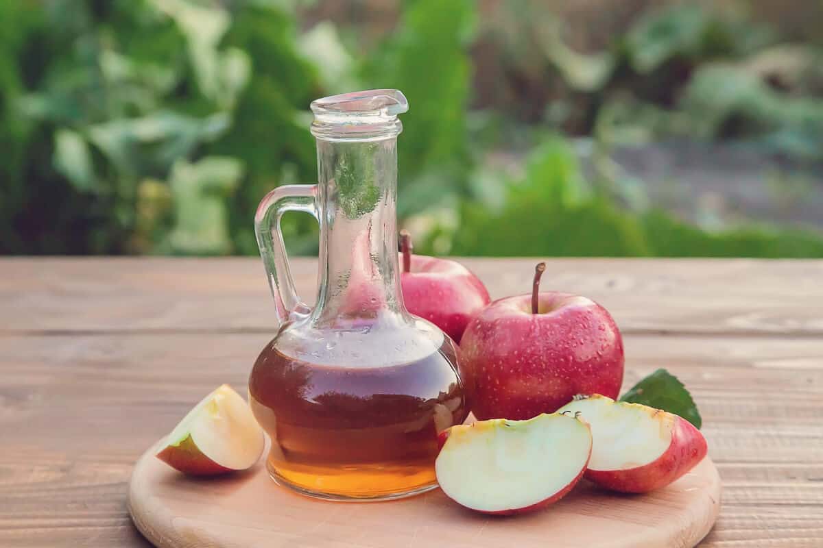 Apple Cider Vinegar as a Way to Keep Ants Away