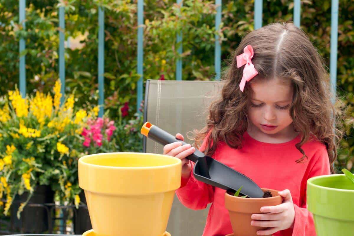 Are Spider Plants Poisonous to Babies?