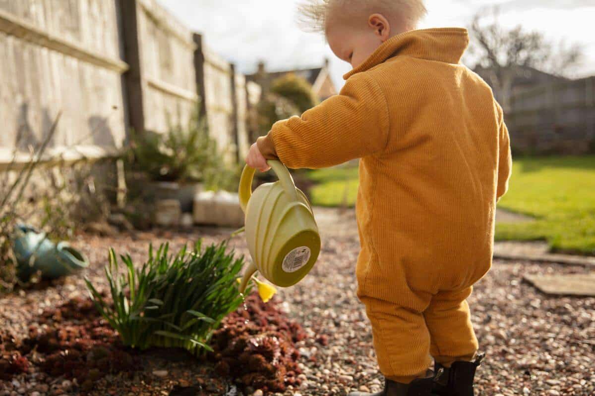 Are Spider Plants Poisonous to Babies?