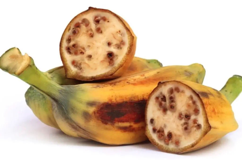 Banana with Seeds Inside