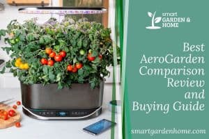 Best AeroGarden Comparison Review and Buying Guide