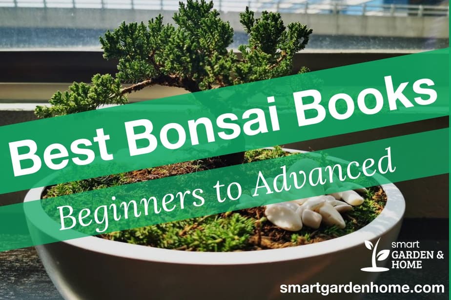 Top 8 Best Bonsai Books In 2023 Smart Garden And Home