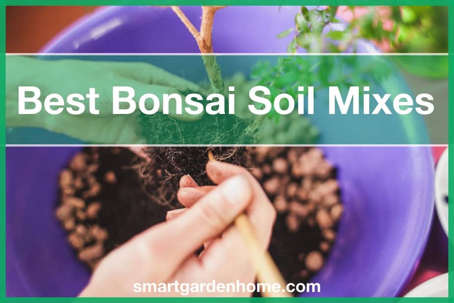 Best Bonsai Soil Mix Types - Smart Garden And Home