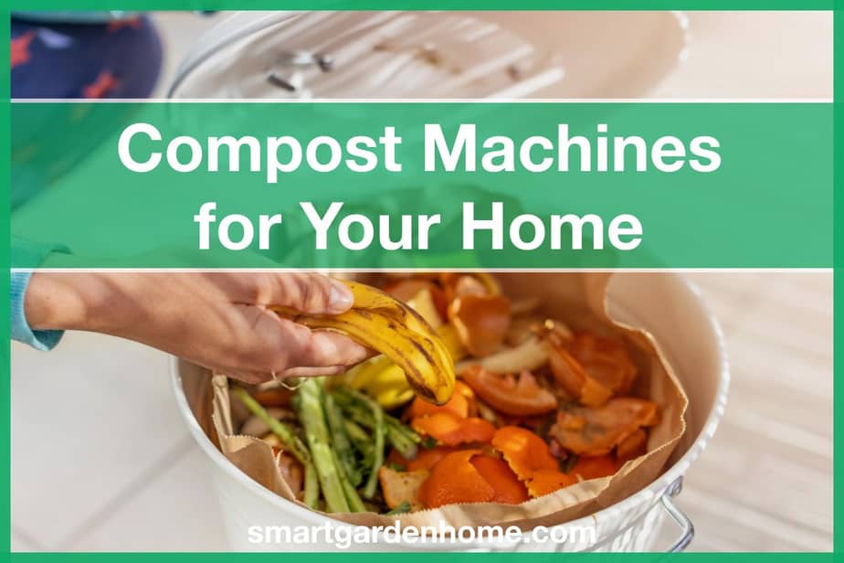 Best Compost Machines for Home Use