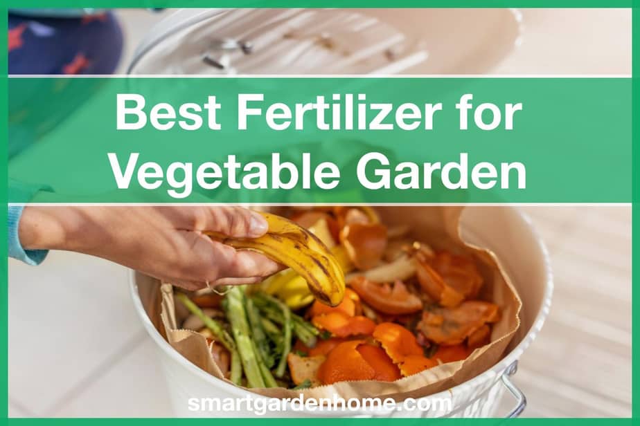 Best Fertilizer for Vegetable Gardens