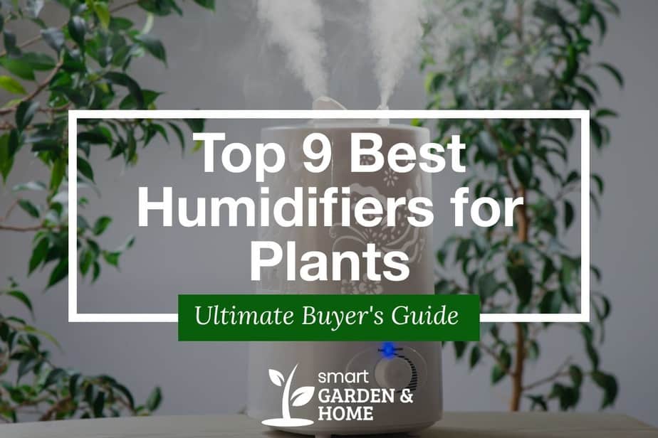Top 9 Best Humidifiers for Plants and Indoor Gardening