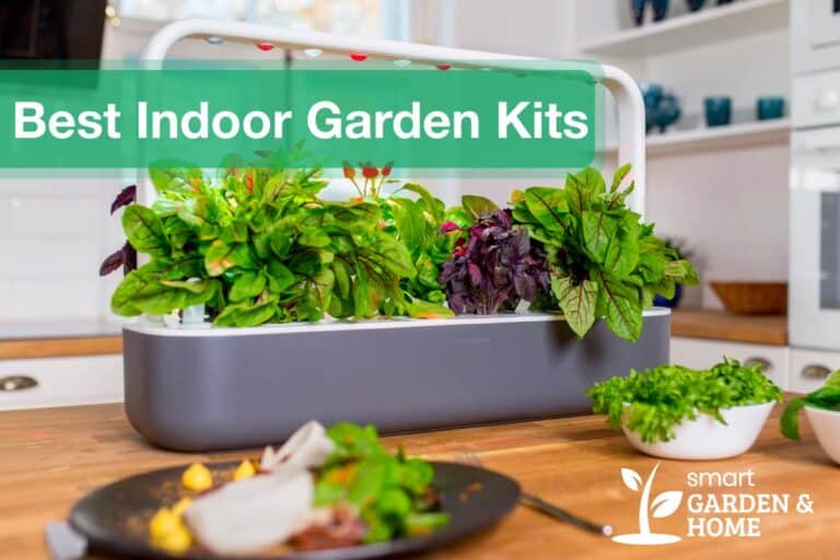 Best Indoor Smart Garden Systems