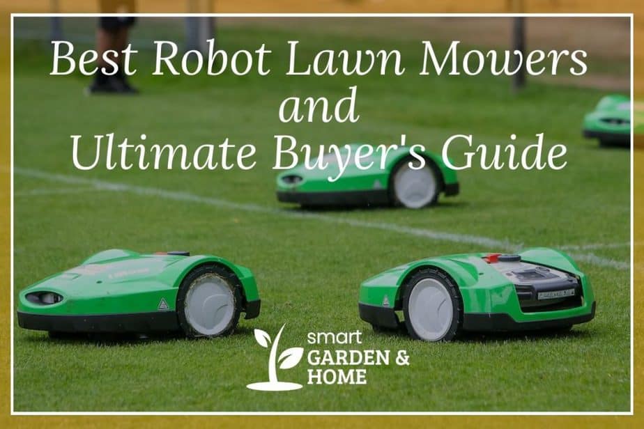 Best Robot Lawn Mowers and the Ultimate buyer's guide