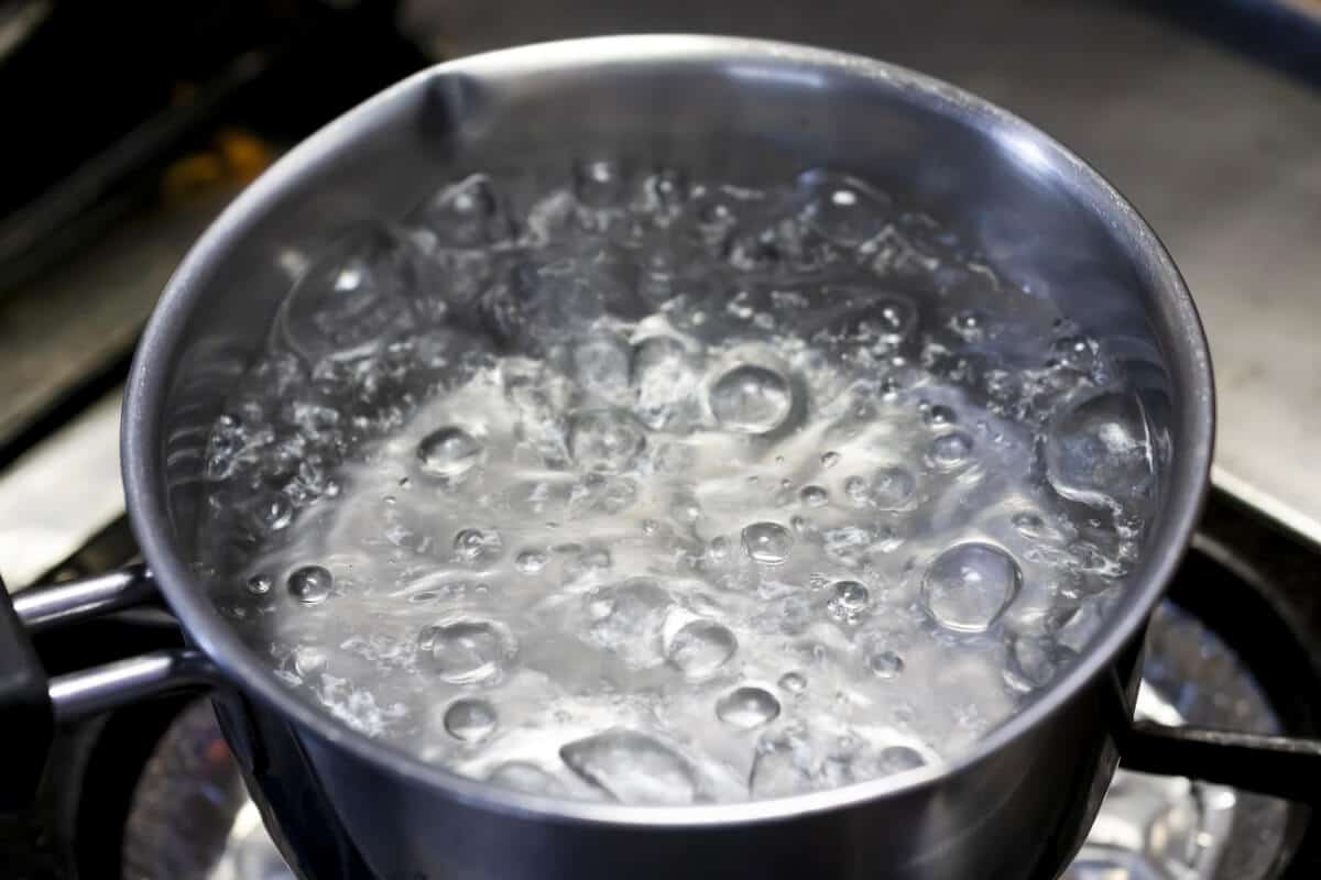 Boiling Water to Kill Ants in the Garden