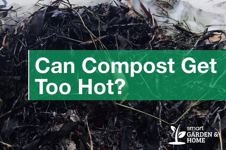 Can Compost Get Too Hot? What Happens? Smart Garden And Home