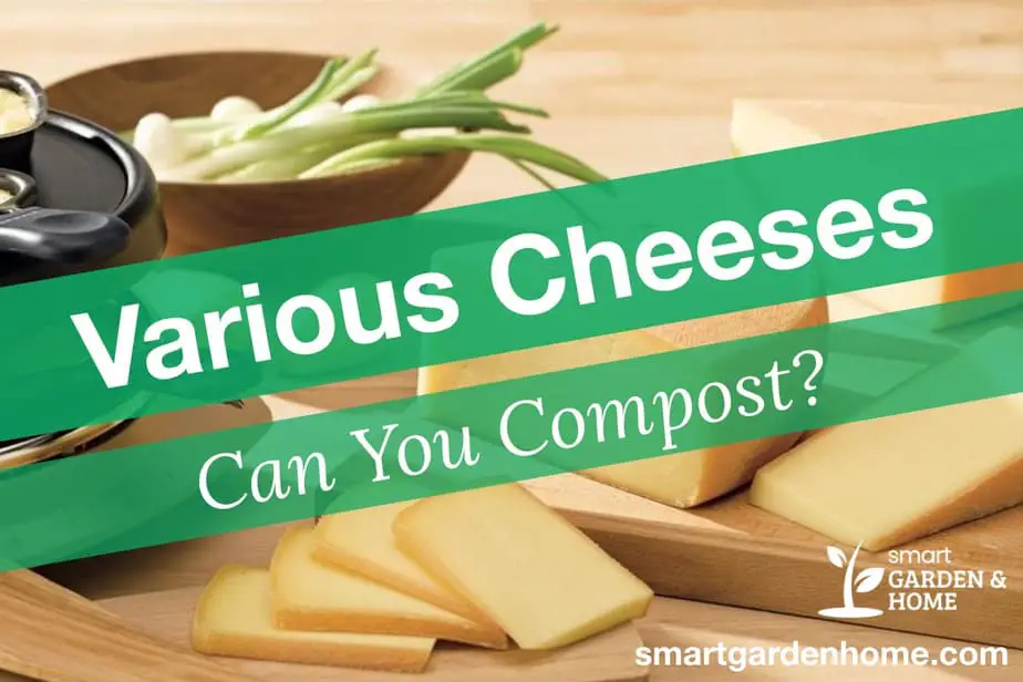 can-you-compost-cheese-yes-and-no-smart-garden-and-home