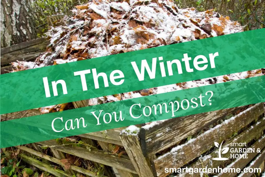 Can You Compost in the Winter