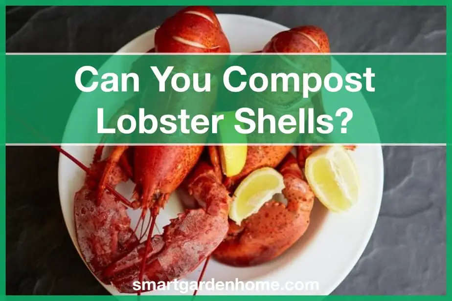 Can You Compost Lobster Shells?