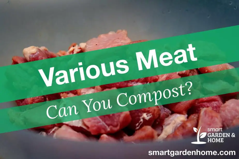 can-you-compost-meat-smart-garden-and-home