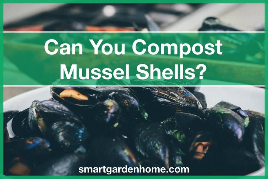 Can You Compost Mussel Shells?