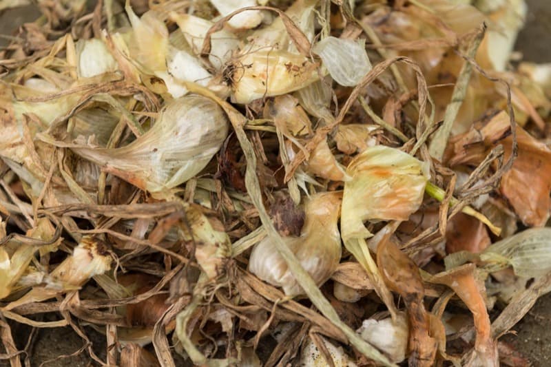 Close-up of a pile of dried onion skins and roots, showcasing the brown and white layers of the outer covering.